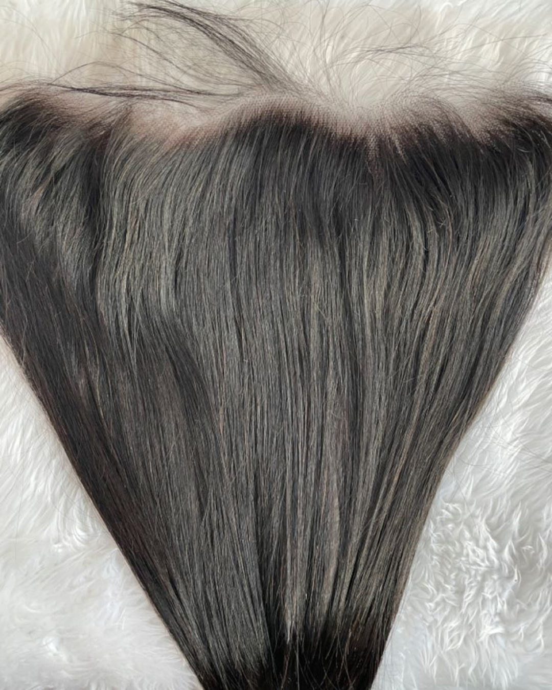 Lacefrontales